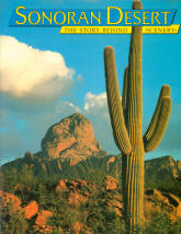 SONORAN DESERT: the story behind the scenery. 